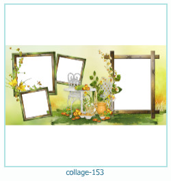 Collage picture frame 153