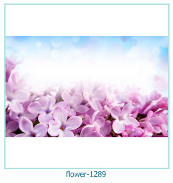 flower Photo frame 1289