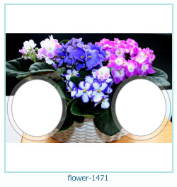 flower Photo frame 1471