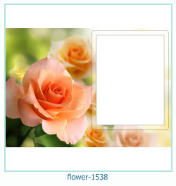 flower Photo frame 1538