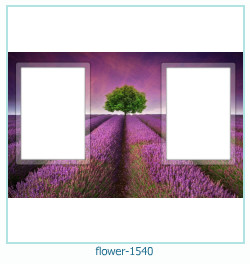 flower Photo frame 1540