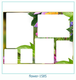 flower Photo frame 1585