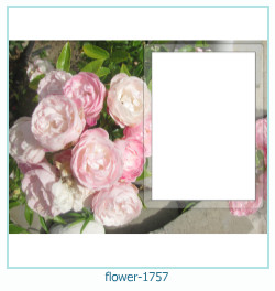 flower Photo frame 1757