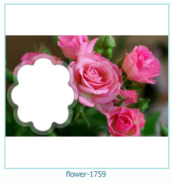 flower Photo frame 1759