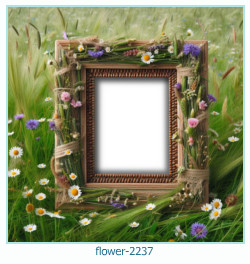 flower photo frame 2237