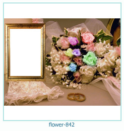 flower Photo frame 842