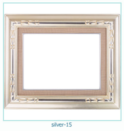 silver Photo frame 15
